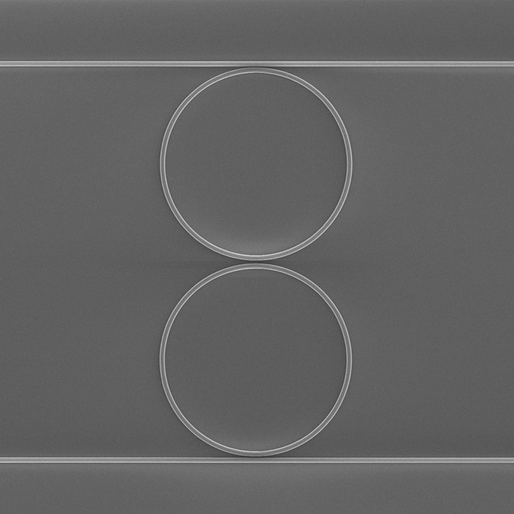 Integrated Photonics